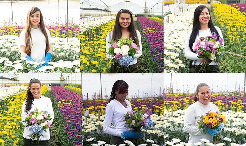 Six smiling women from the Enjoy Flowers team stand holding bouquets on the flower farm in Colombia.